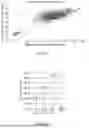 Fig. 08 - METHOD OF EXAMINING A NUCLEIC ACID AMPLIFICATION PRODUCT