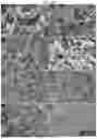 Fig. 16 - SITU CATALYST SYNTHESIS, DEPOSITION AND UTILIZATION