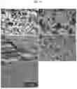 Fig. 23 - SITU CATALYST SYNTHESIS, DEPOSITION AND UTILIZATION