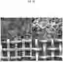 Fig. 28 - SITU CATALYST SYNTHESIS, DEPOSITION AND UTILIZATION