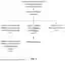 Fig. 02 - METHODS FOR DEFINING STAGES AND PROGRESSION OF AMYOTROPHIC LATERAL SCLEROSIS