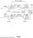 Fig. 22 - EXTRACTING KNOWLEDGE FROM A KNOWLEDGE DATABASE