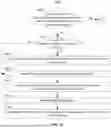 Fig. 11 - SYSTEMS AND METHODS FOR DISPLAYING SUBJECTS OF AN AUDIO PORTION OF CONTENT AND DISPLAYING AUTOCOMPLETE SUGGESTIONS FOR A SEARCH RELATED TO A SUBJECT OF THE AUDIO PORTION