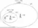 Fig. 01 - SLICE-SPECIFIC CELL RE-DIRECTION