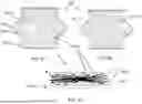 Fig. 08 - ABOVE GROUND WATERING SYSTEM FOR VANDACEOUS ORCHIDS