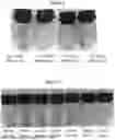 Fig. 02 - ACIDIC BETA-LACTOGLOBULIN BEVERAGE PREPARATION