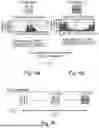 Fig. 06 - METHOD OF PREFORMING AN IMPLANTABLE POLYMERIC ENDOLUMINAL SUPPORT STRUCTURE