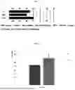 Fig. 02 - PLANT DERIVED ACTIVE INGREDIENT COMPRISING PLANT EXTRACTS
