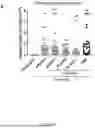 Fig. 22 - ANTI-FUNGAL GRIFFITHSIN COMPOSITIONS AND METHODS OF USE
