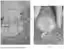 Fig. 07 - INJECTABLE SLURRIES AND METHODS OF MANUFACTURING AND USING THE SAME