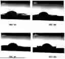Fig. 06 - NOVEL WOUND DRESSING BASED ON CELLULOSE ACETATE FILMS CONTAINING BINARY METAL OXIDE NANOHYBRIDS