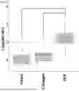 Fig. 26 - COMPOSITIONS AND METHODS FOR REPAIRING DAMAGE TO SKELETAL MUSCLE