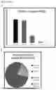 Fig. 29 - COMPOSITIONS AND METHODS FOR REPAIRING DAMAGE TO SKELETAL MUSCLE