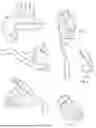 Fig. 02 - Workout gloves with lifting straps