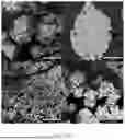 Fig. 22 - Metal-Organic Frameworks for Removal of Liquid Phase Compounds and Methods for Using Same