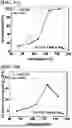 Fig. 04 - CATALYST FOR LOW-TEMPERATURE CARBON MONOXIDE PURIFICATION, METHOD FOR MANUFACTURING THE SAME, AND METHOD FOR PURIFYING CARBON MONOXIDE USING THE SAME