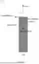 Fig. 07 - WIND GUST DETECTION BY AN AUTONOMOUS VEHICLE