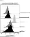 Fig. 04 - SMO HUMAN ANTIBODY