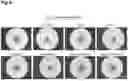 Fig. 09 - PRODUCTION METHOD FOR SHEET-LIKE RETINAL TISSUE