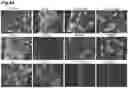 Fig. 45 - PRODUCTION METHOD FOR SHEET-LIKE RETINAL TISSUE