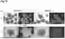 Fig. 71 - PRODUCTION METHOD FOR SHEET-LIKE RETINAL TISSUE