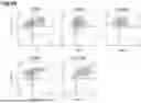 Fig. 85 - PRODUCTION METHOD FOR SHEET-LIKE RETINAL TISSUE