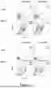 Fig. 02 - PRIMED UTERINE-DERIVED REGENERATIVE CELL COMPOSITIONS AND USES THEREOF