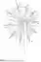 Fig. 22 - DEVICE COMPRISING AN ASYMMETRICAL ADJUSTABLE WING PROFILE