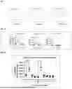 Fig. 02 - GRANULOCYTE-MACROPHAGE COLONY-STIMULATING FACTOR-BASED CANCER TREATMENTS