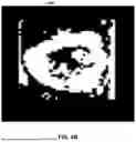 Fig. 06 - DIRECTIONAL IMAGING BASED TOOLPATH DETERMINATION