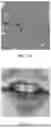 Fig. 12 - DIFFERENTIABLE MAPS FOR LANDMARK LOCALIZATION
