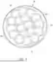 Fig. 07 - METHODS OF MAKING LIGHT-EMITTING ASSEMBLIES COMPRISING AN ARRAY OF LIGHT-EMITTING DIODES HAVING AN OPTIMIZED LENS CONFIGURATION