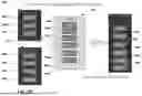 Fig. 07 - NETWORK SETTINGS MANAGEMENT FOR IMAGING PROTOCOLS