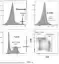 Fig. 02 - GENETICALLY MODIFIED UNGULATE CELLS AND THEIR USES IN CANCER THERAPY