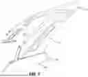 Fig. 04 - FORWARD FACING BIMINI