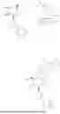 Fig. 166 - GALACTOSIDE DERIVATIVE AS GALECTIN-3 INHIBITOR