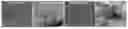 Fig. 01 - NATIVE CELL MEMBRANE NANOPARTICLES