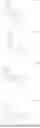 Fig. 02 - NATIVE CELL MEMBRANE NANOPARTICLES