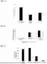 Fig. 02 - Rapid T-Cell Manufacturing