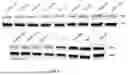 Fig. 07 - Compositions and Methods of Generating Novel amiRNA