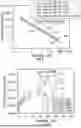 Fig. 06 - METHOD FOR MITIGATING BARITE SAG IN WATER-BASED MUD WITH THERMOCHEMICAL FLUID