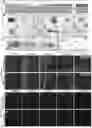 Fig. 01 - Transparent Embedding Solvent System and Use Thereof
