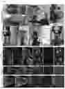 Fig. 04 - Transparent Embedding Solvent System and Use Thereof