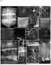 Fig. 05 - Transparent Embedding Solvent System and Use Thereof
