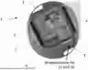 Fig. 01 - SENSOR HEAD ASSEMBLY HAVING OPPOSING SENSOR CONFIGURATION WITH MOUNT