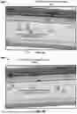 Fig. 09 - Generating Synthetic Borehole Image Logs