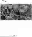 Fig. 07 - Identifying Unconformities in Subsurface Formations