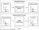 Fig. 22 - SYSTEM AND METHOD FOR DETECTING HIGH-RISK LIGHTNING STRIKES FOR USE IN PREDICTING AND IDENTIFYING WILDFIRE IGNITION LOCATIONS AND POWERLINE DAMAGES
