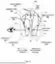 Fig. 07 - APPARATUS FOR OPTICAL SEE-THROUGH HEAD MOUNTED DISPLAY WITH MUTUAL OCCLUSION AND OPAQUENESS CONTROL