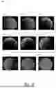 Fig. 06 - COMPRESSED REPRESENTATIONS FOR APPEARANCE OF FIBER-BASED DIGITAL ASSETS